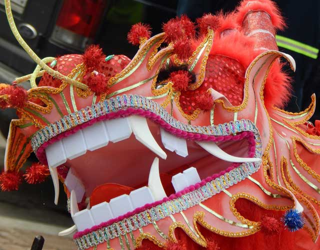 Chinese New Year Festival